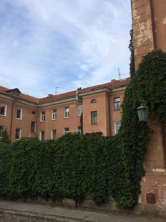 Апартаменты Studio Apartment Old Town Клайпеда